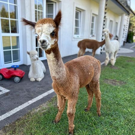 Apartamenty Gora Wejherowo Buitenkant foto
